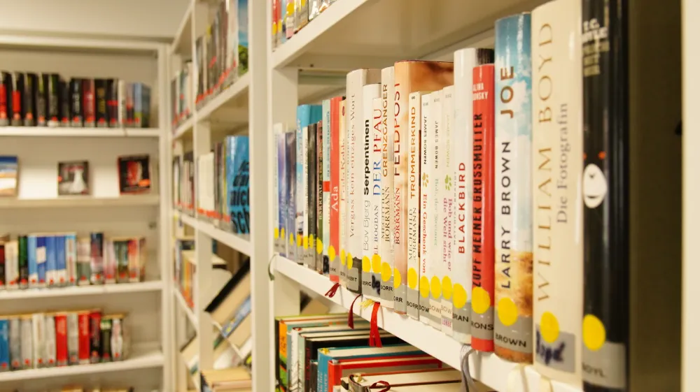 Nahaufnahme eines Bücherregals mit eng aneinandergereihten Romanen.